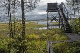 Mulkkujärvi