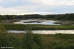 Vallonjärvi