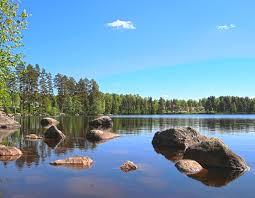 Palokkajärvi