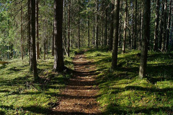 Hiidenportti National Park